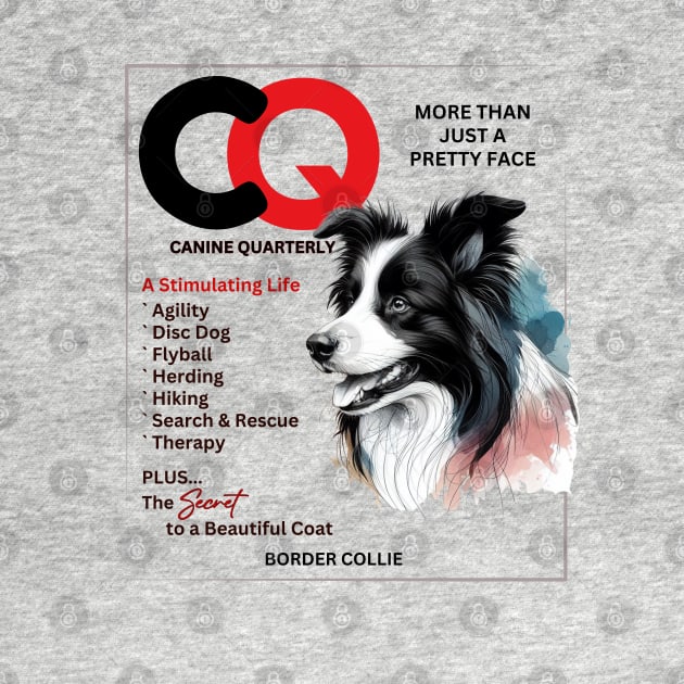 CQ MAGAZINE - Border Collie by ZogDog Pro